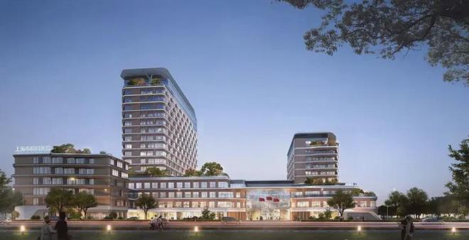 浦东保利天奕售楼处发布：邂逅美好生活冰球突破豪华版app【2025】上海(图9)