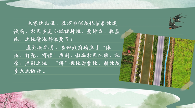 我们在行动_光明网冰球突破春耕时节(图12) 我们在行动_光明网冰球突破春耕时节(图12)